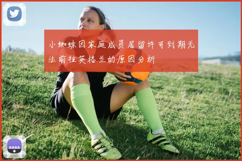 小蜘蛛因家庭成员居留许可到期无法前往英格兰的原因分析